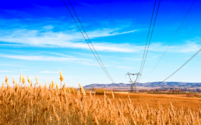 A importância da gestão da energia na agricultura irrigada