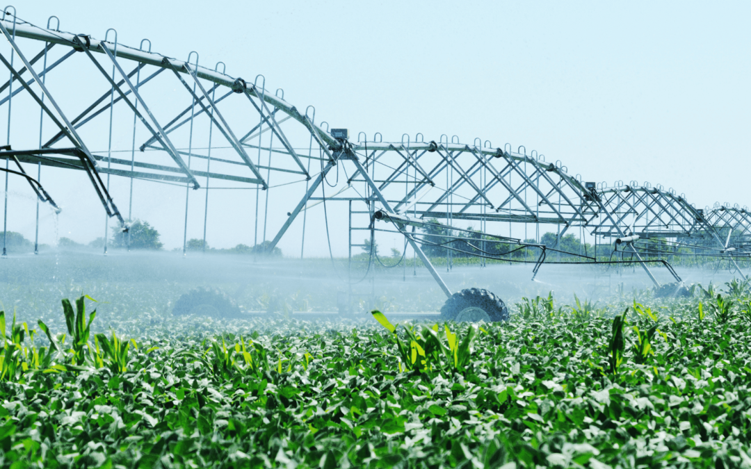 Lâminas adequadas de irrigação: quanto e quando irrigar?