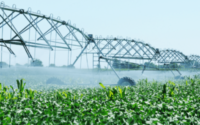Lâminas adequadas de irrigação: quanto e quando irrigar?